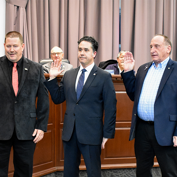 2019 Board Alternates